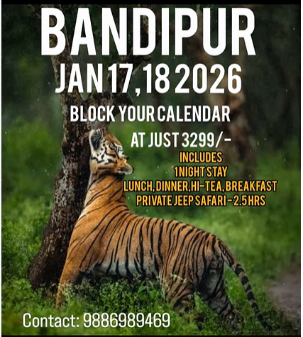 Let’s Ride to Bandipur