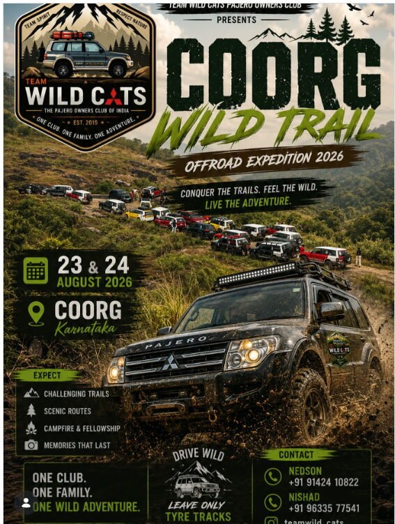 teamwild_cats