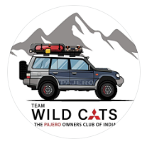 teamwild_cats
