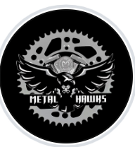 Metal Hawks