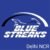 Group logo of Blue Streaks - Delhi NCR